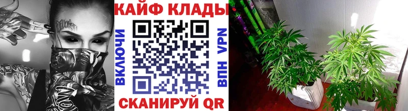 Сколько стоит Нововоронеж СОЛЬ  Cocaine  Гашиш  Меф  Канабис 