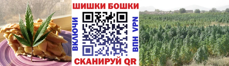 Canna-Cookies марихуана сколько стоит Нововоронеж