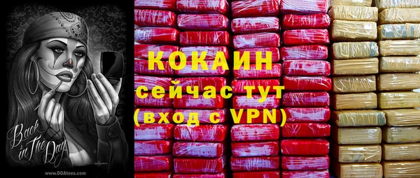 соль ск Алексин
