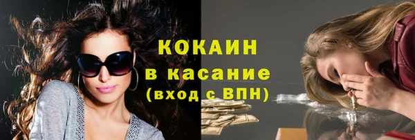 шишки Алзамай