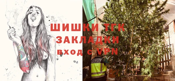 шишки Алзамай