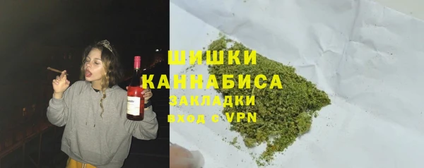 шишки Алзамай