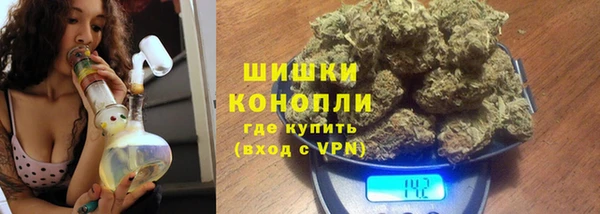 шишки Алзамай