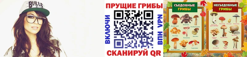 Галлюциногенные грибы ЛСД купить закладку Нововоронеж