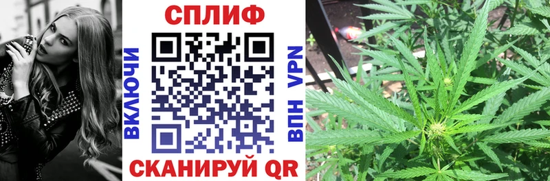 Конопля SATIVA & INDICA Нововоронеж